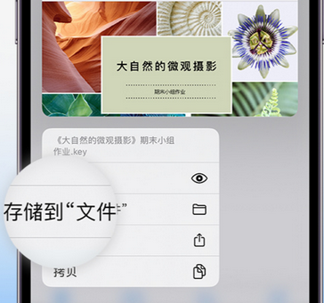 常山apple维修中心分享iPhone文件应用中存储和找到下载文件