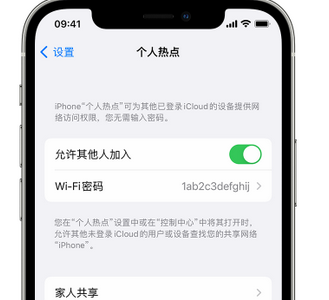 常山apple服务站点分享iPhone上个人热点丢失了怎么办 