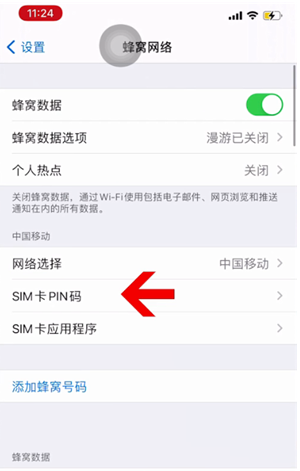 常山苹果14维修网分享如何给iPhone14的SIM卡设置密码 