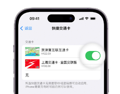 常山apple维修点分享iPhone上更换Apple Pay快捷交通卡手绘卡面 