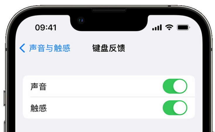 常山苹果手机维修分享iPhone 14触感键盘使用方法 