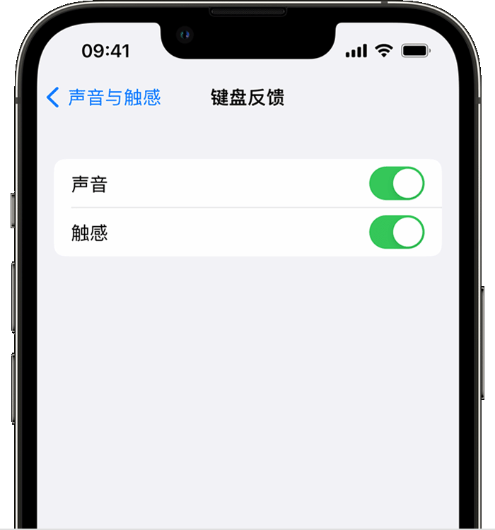 常山苹果14维修店分享如何在 iPhone 14 机型中使用触感键盘 