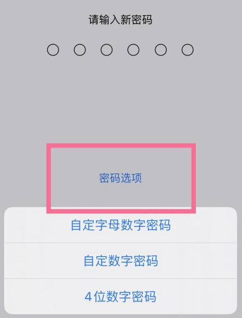 常山苹果14维修分享iPhone 14plus设置密码的方法 