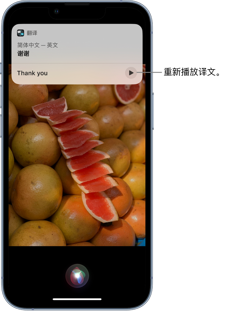 常山苹果14维修分享 iPhone 14 机型中使用 Siri：了解 Siri 能帮你做什么 