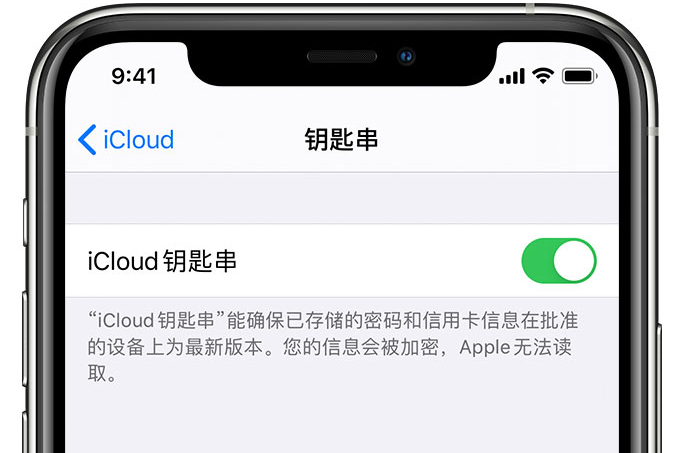 常山苹果手机维修分享在 iPhone 上开启 iCloud 钥匙串之后会储存哪些信息 