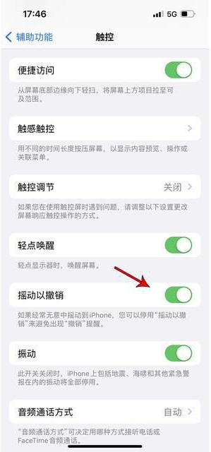 常山苹果手机维修分享iPhone手机如何设置摇一摇删除文字 